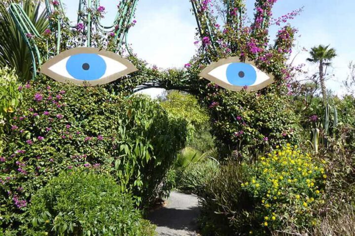 Anima Garden Eyes