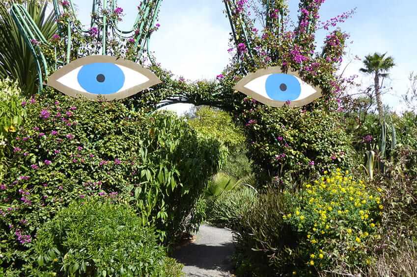 Anima Garden Eyes