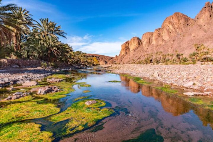 Ouarzazate and Fint Oasis Desert Tour