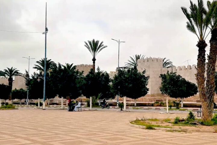 Large paved public square in Taroudant with palm trees, park benches, and the historic ramparts in the background