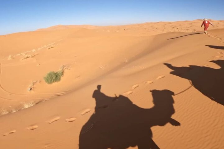 Must-See Moroccan Cities: Camel shadow in Merzouga desert