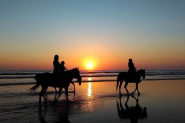 Horse ride Agadir