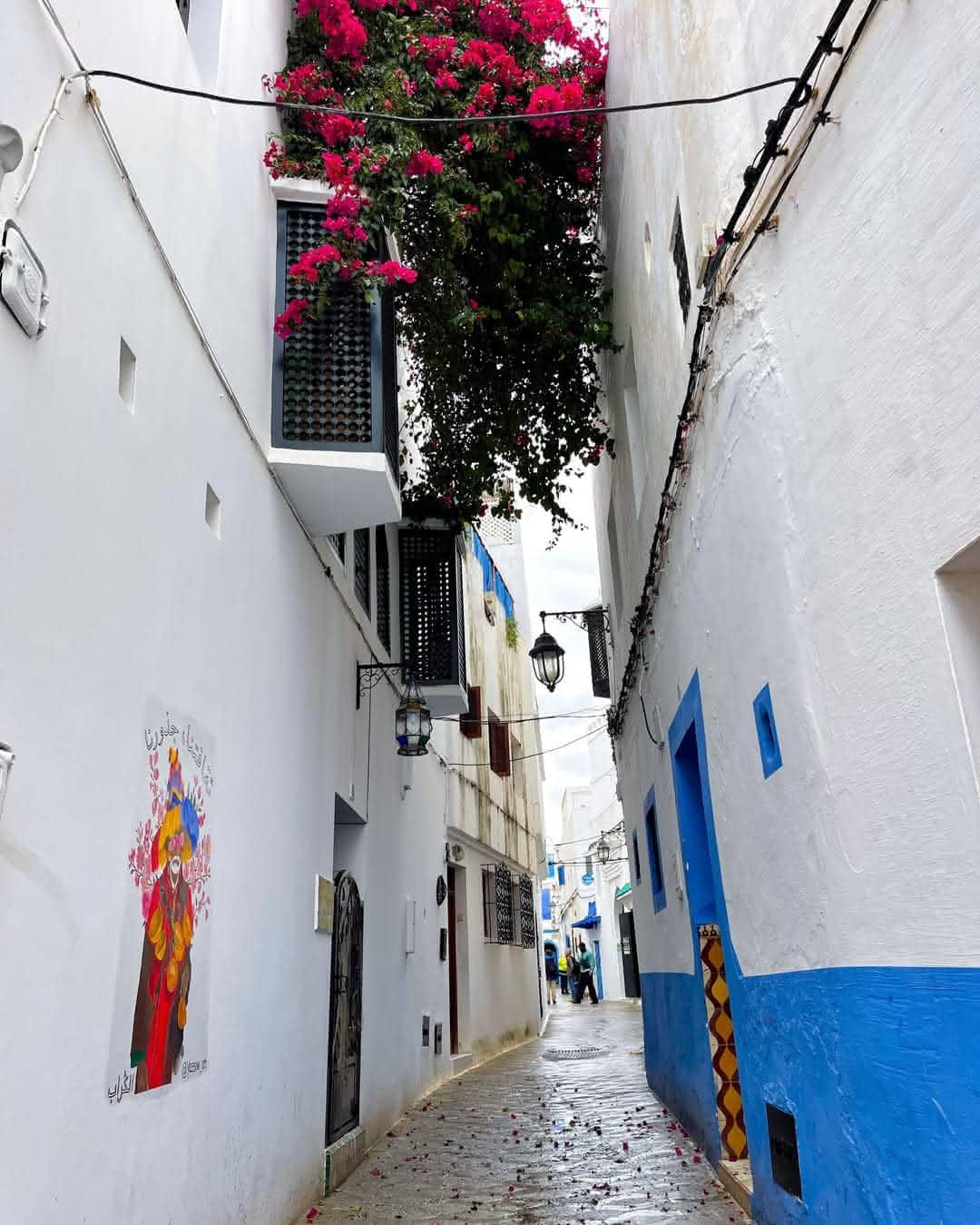 Colorful mural with Arabic calligraphy in a narrow Asilah alley decorated with bright pink bougainvillea.