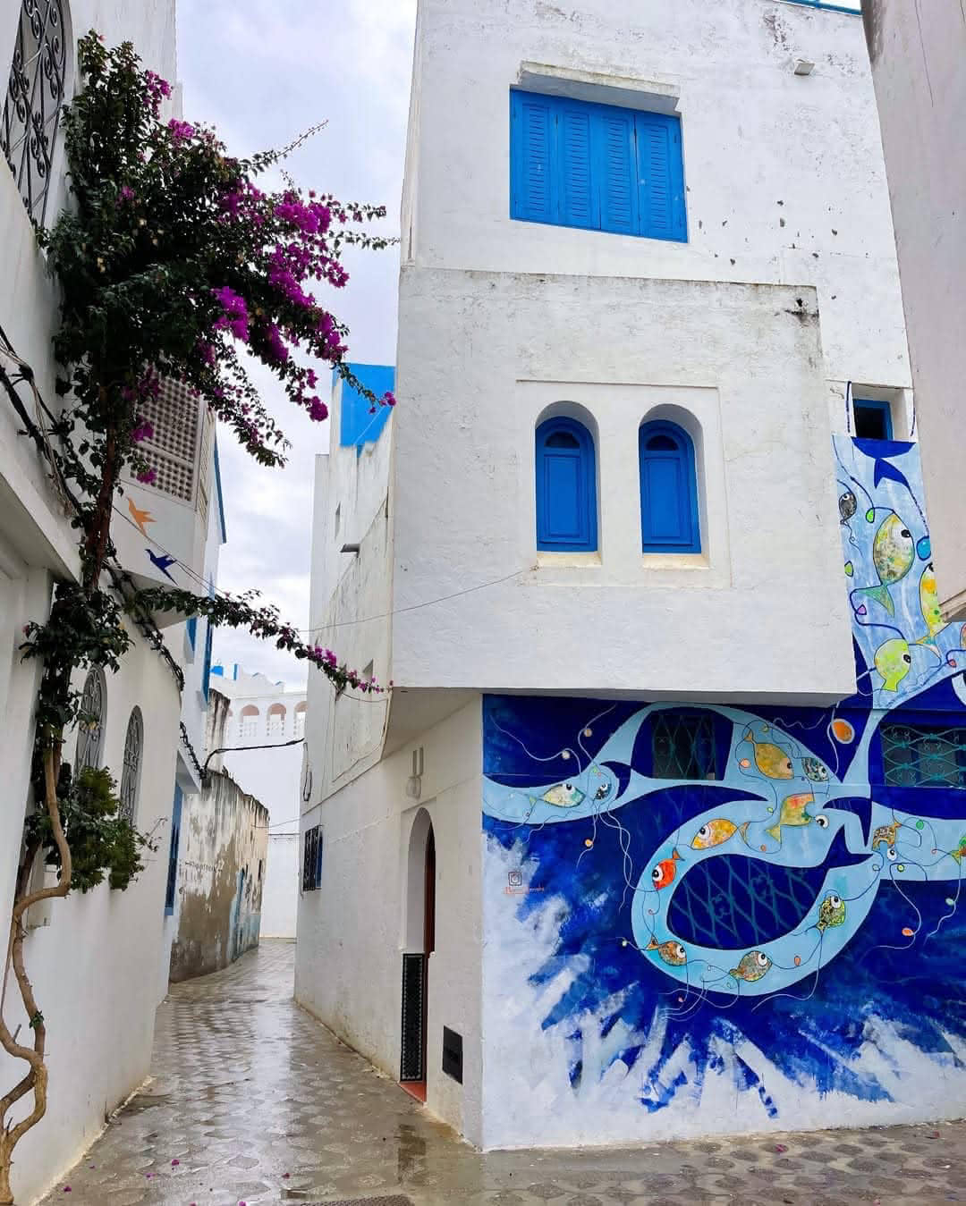 Narrow whitewashed alley in Asilah featuring a blue fish mural and blooming bougainvillea.