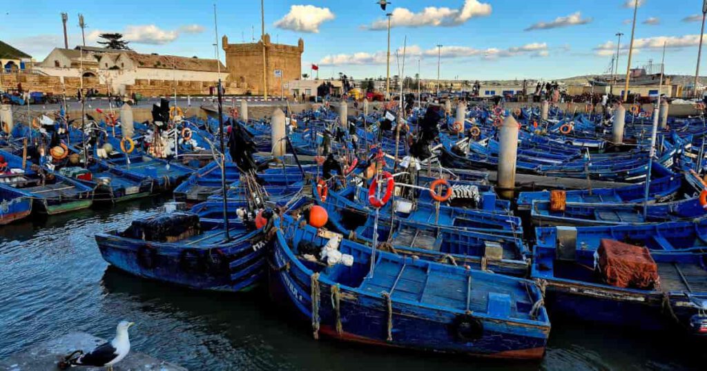 Fischerboote im Hafen Fischerboote Essaouira blau Hafen Marokko