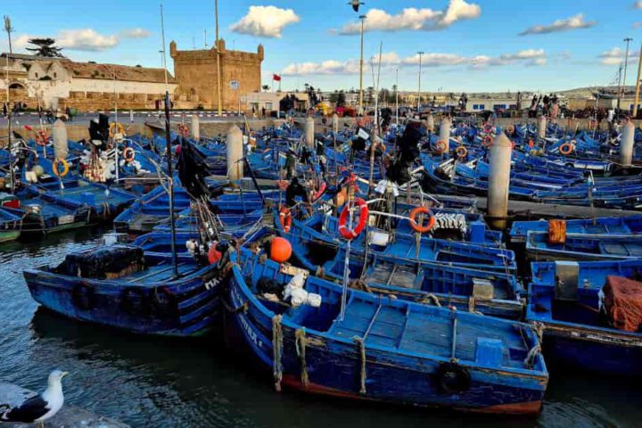 Fischerboote Essaouira blau Hafen Marokko