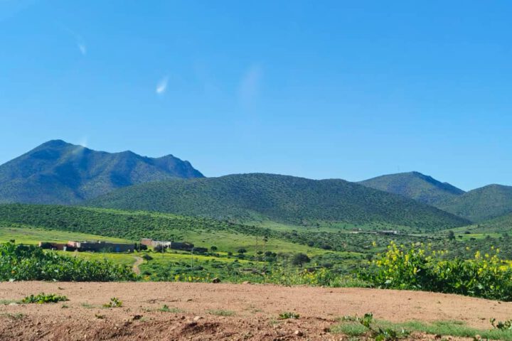 Lush green coastal landscape of Sidi Ifni with Atlantic views in Morocco
