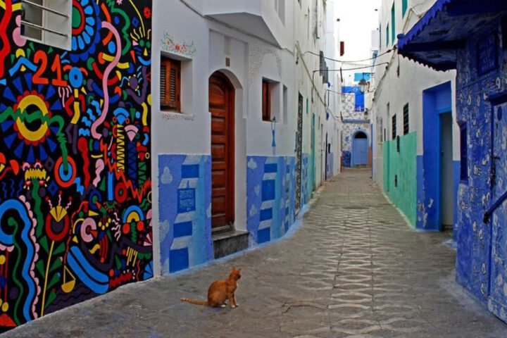 Farbenfrohe Street Art an einer Hauswand in der blauen Medina von Asilah während eines Tagesausflugs ab Tanger.