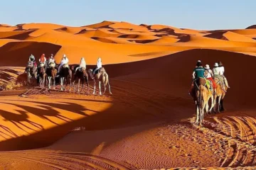 A panoramic view of the Moroccan desert with camel caravan