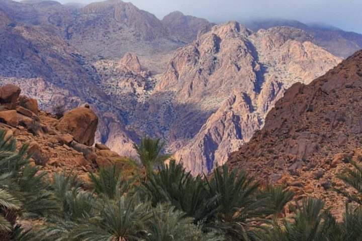 View of Tafraoute town in the Ammeln Valley with date palms and the rugged Anti-Atlas mountains
