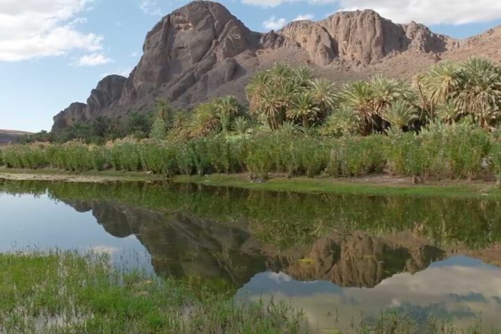 Fint Oasis mountains reflection palm trees Morocco
Title:
Mountain landscape at Fint Oasis
Caption:
Dramatic mountains reflected in the waters of Fint Oasis