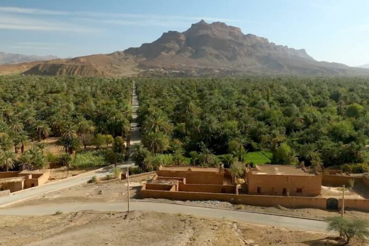 Scenic view of Fint Oasis with lush palm trees and mountains near Ouarzazate, Morocco