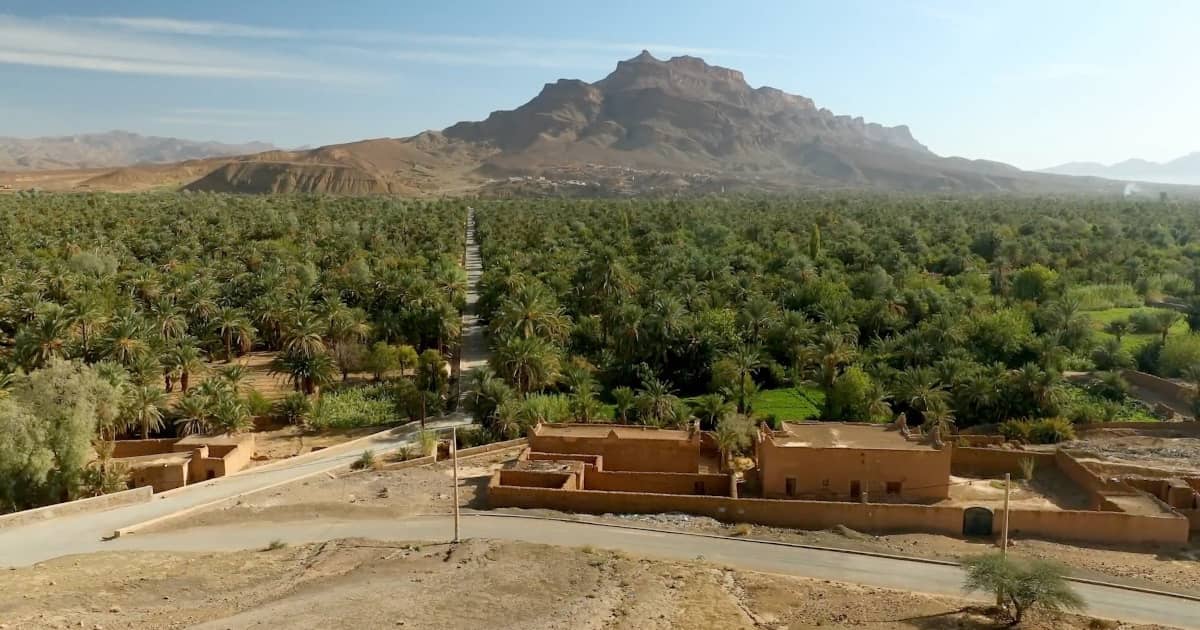 Scenic view of Fint Oasis with lush palm trees and mountains near Ouarzazate, Morocco