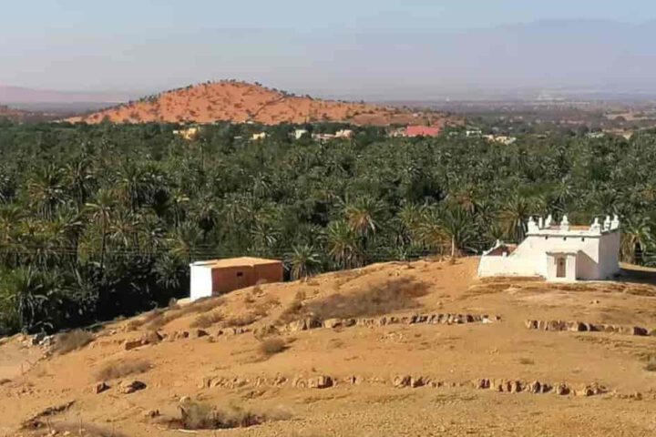 Oase Tiout mit Palmenlandschaft nahe Taroudant Marokko