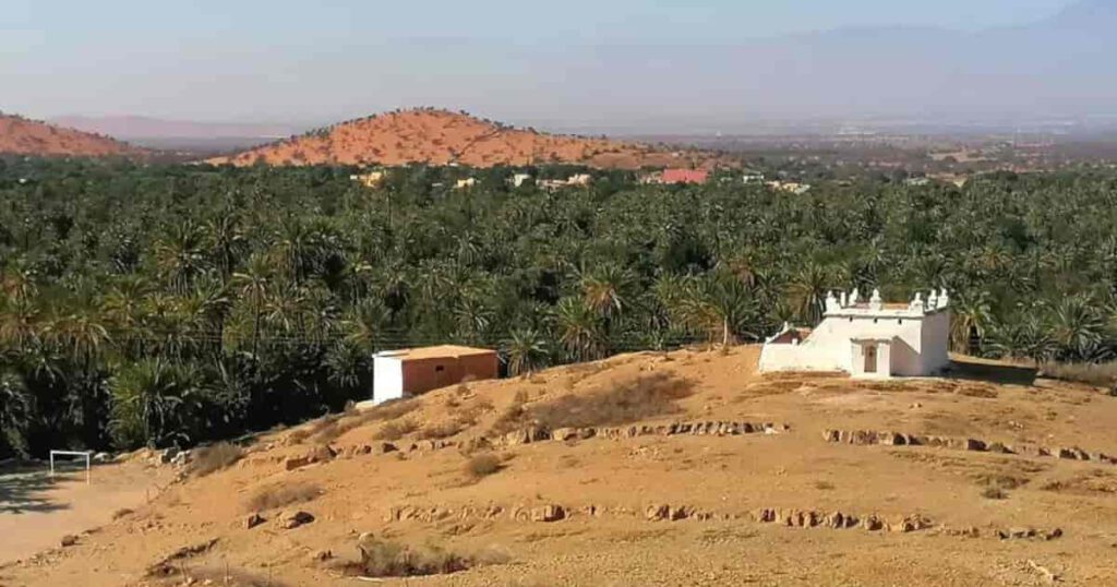 Tiout Oasis Tiout Oasis with palm grove landscape near Taroudant Morocco