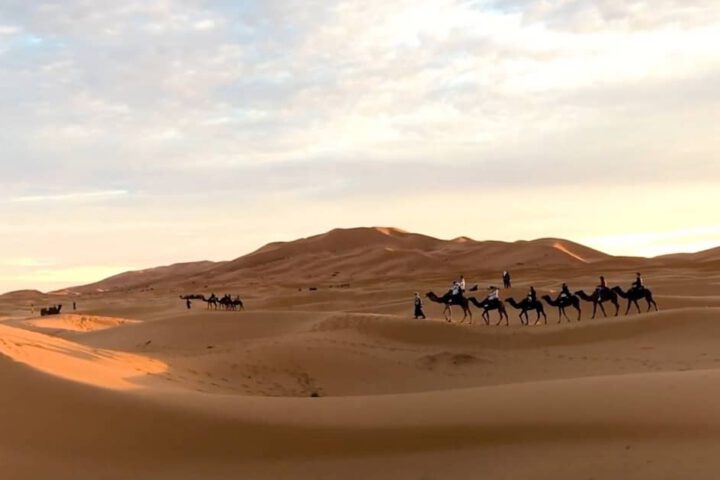 Explore Merzouga camel treks across the Sahara Desert at sunset