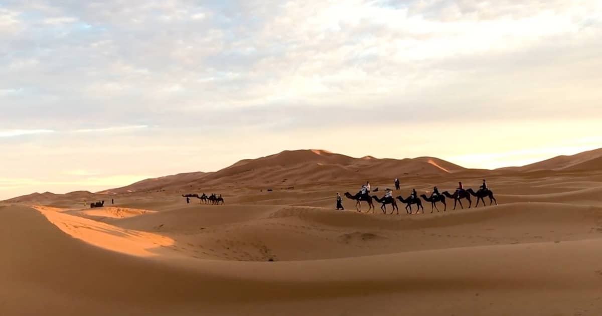 Explore Merzouga camel treks across the Sahara Desert at sunset