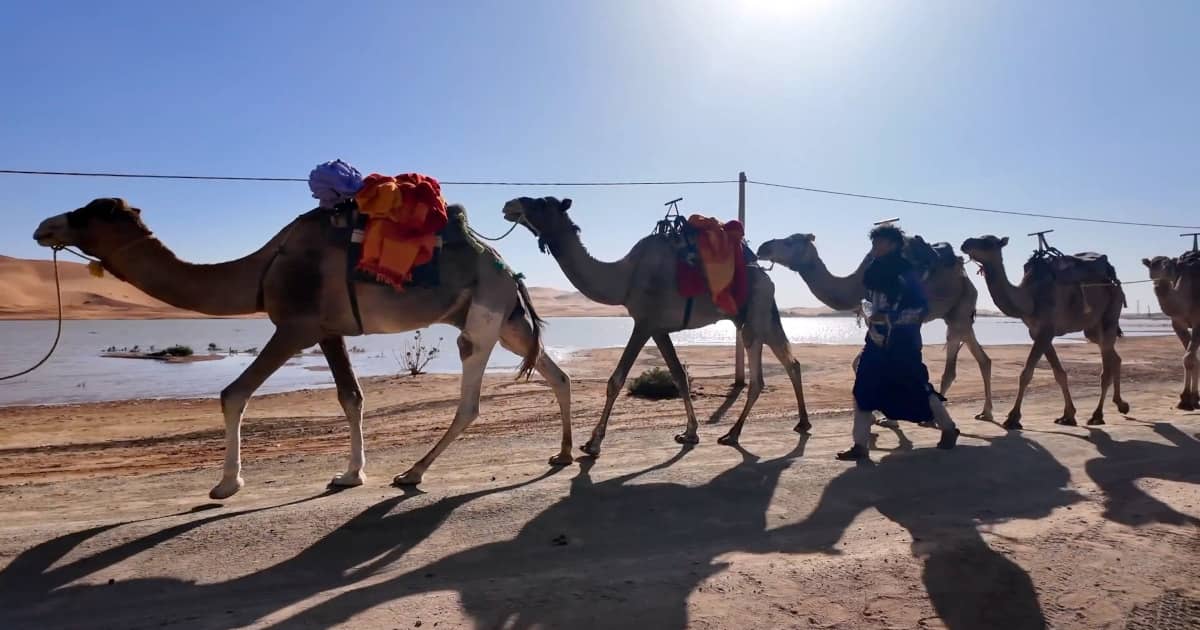 Explore Moroccan desert camel trekking adventure in the Sahara.