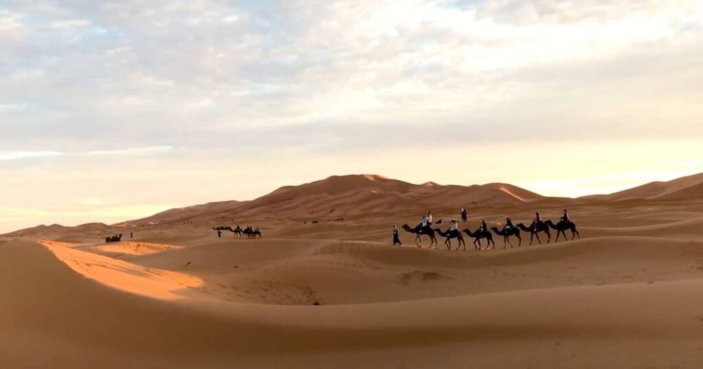 Kameltrekking in der Merzouga Wüste bei Sonnenuntergang in Erg Chebbi
