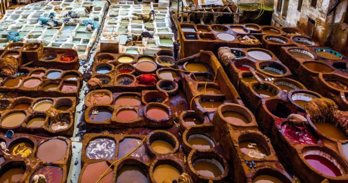 Chouara Tannery in Fez, a highlight of Morocco tours starting from Fez