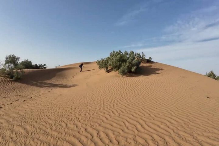 Sanddünen der Sahara in Marokko im Erg Chigaga bei Zagora mit weiter Wüstenlandschaft