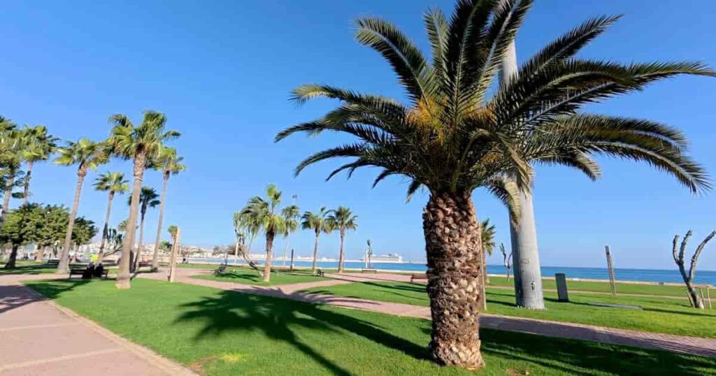 Palm-lined promenade along Tangier corniche with ocean view and green park area