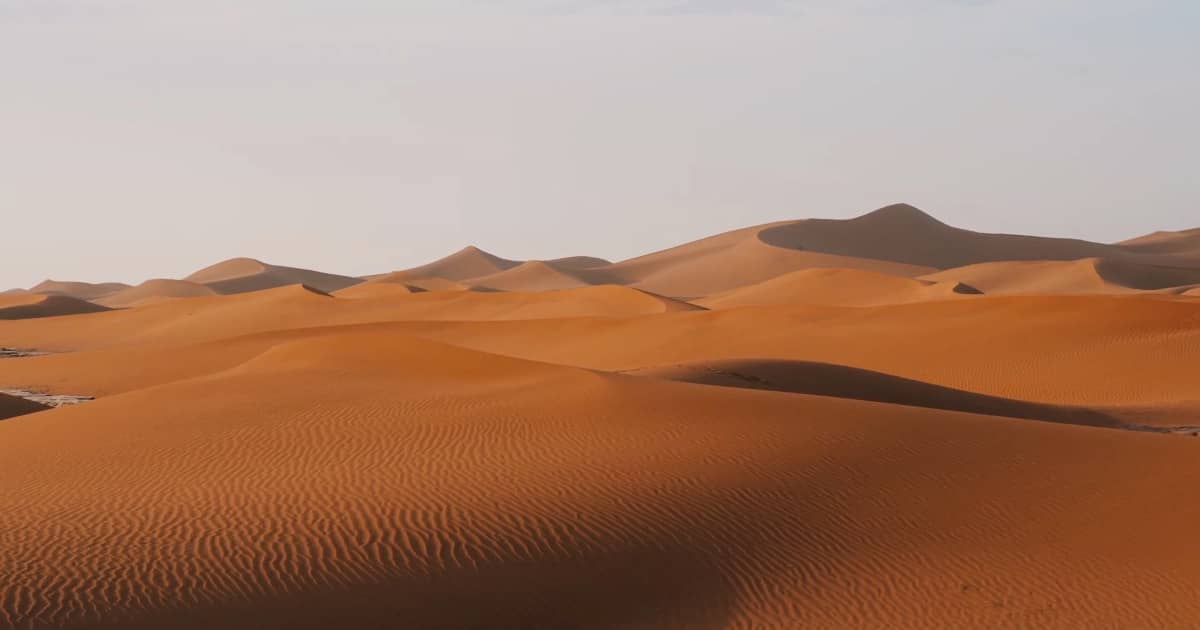 Detailreiche Sanddünen mit Wellenstruktur in der Zagora Wüste Marokko im Erg Chegaga