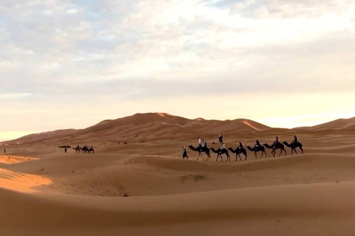 Best Morocco Tours - Merzouga Camel Trek