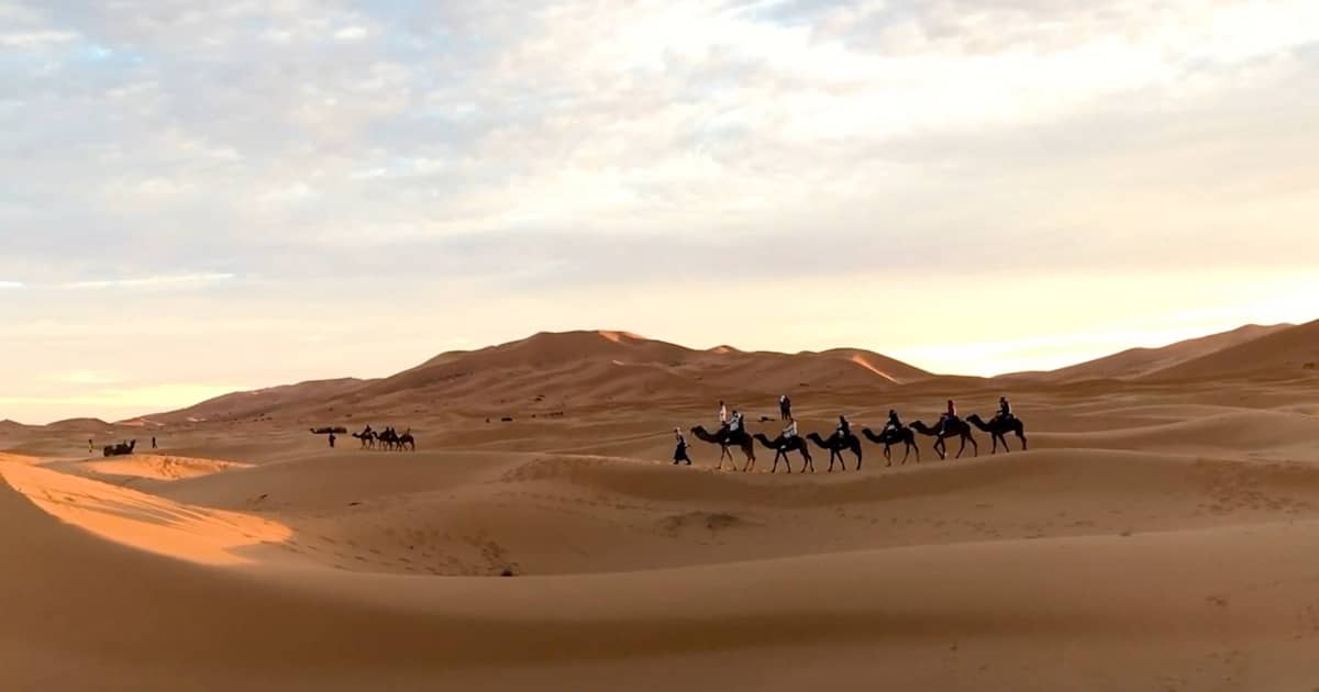 Best Morocco Tours - Merzouga Camel Trek