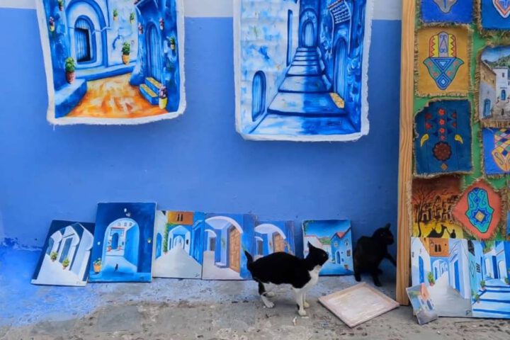 Cat in Chefchaouen giving a side-eye to a painting, surrounded by vibrant blue artworks