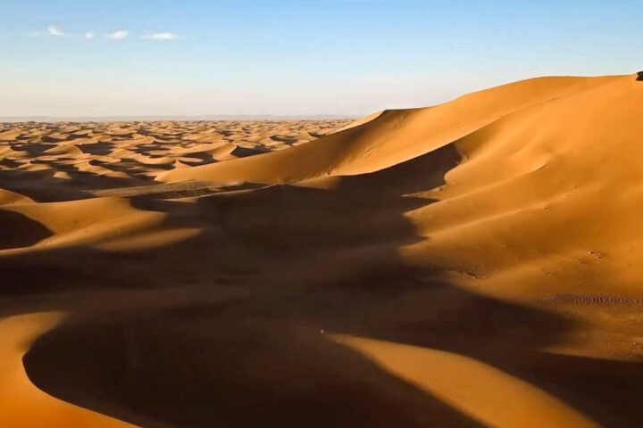 Camel caravan trekking across golden dunes of the Sahara Desert