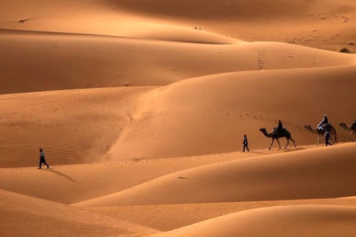 Sunset view over sand dunes in Erg Chebbi, Sahara Desert