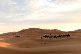 5-day Sahara desert tour from Marrakech to Merzouga with camel trek in Erg Chebbi dunes
