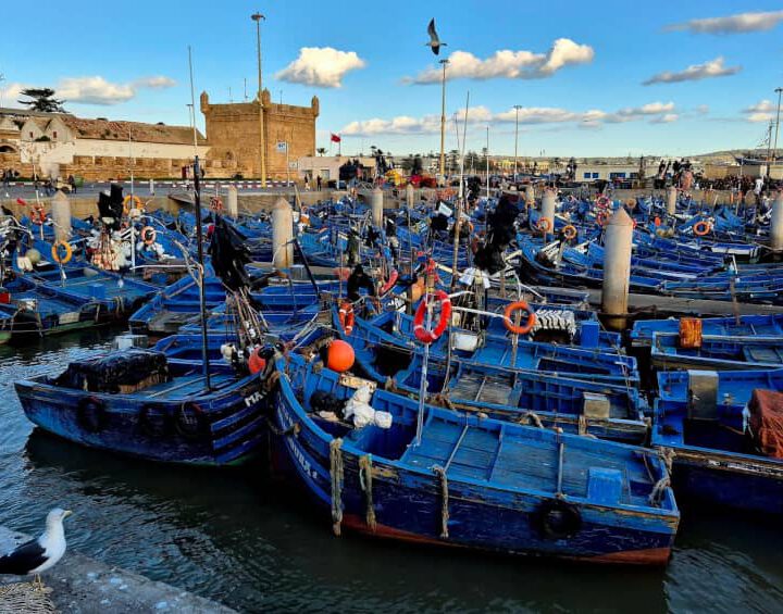 Essaouira fishing port blue boats - Day 17-19 of 21-day luxury Morocco private tour from Casablanca with Stylia Tours