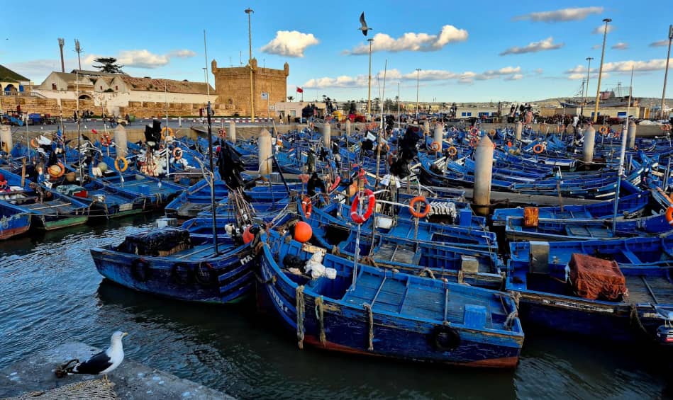 Essaouira fishing port blue boats - Day 17-19 of 21-day luxury Morocco private tour from Casablanca with Stylia Tours