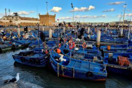 Essaouira Hafen blaue Fischerboote - Tag 17-19 21-tägige Luxus-Rundreise Marokko privat ab Casablanca Stylia Tours