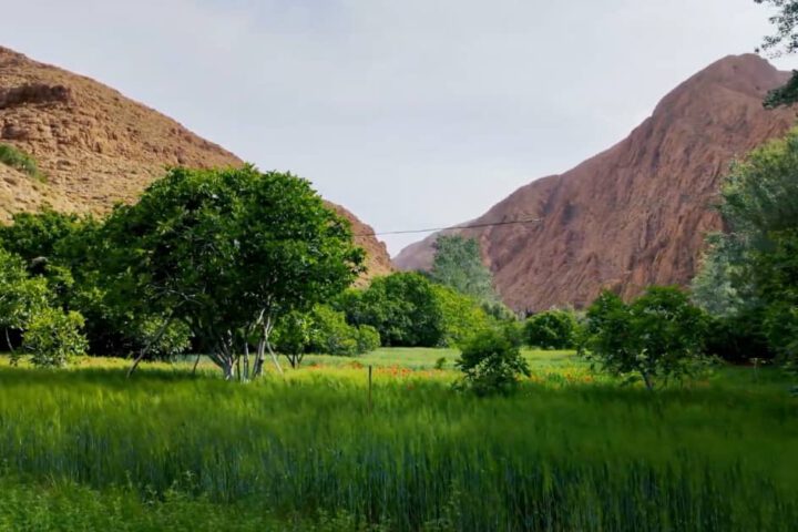 Grünes Tal bei Tamlalte mit Feldern und Bäumen vor felsigen Hängen