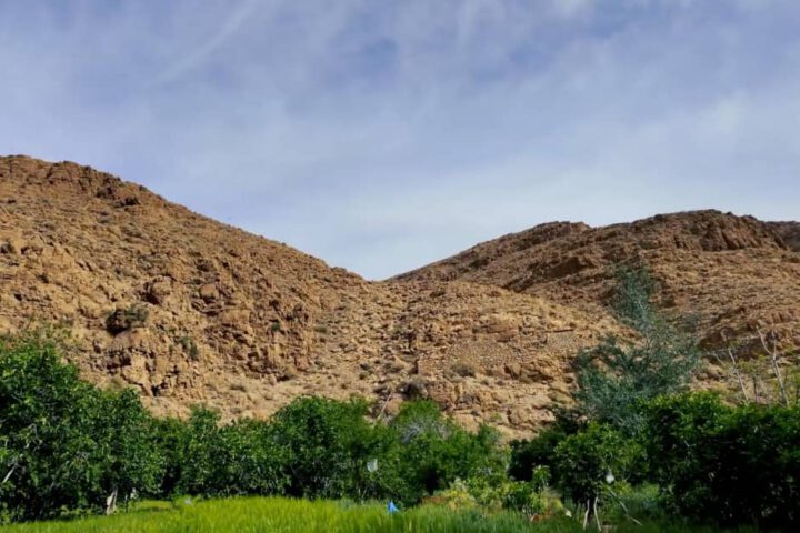 Panoramablick Tamlalte: üppige Vegetation im Vordergrund und rote Hügel im Hintergrund