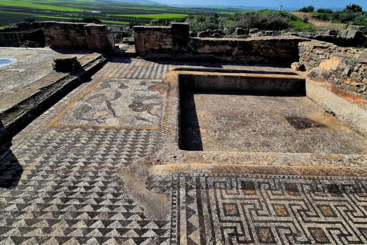 Roman mosaic and basin ruins at Volubilis with geometric and marine designs.