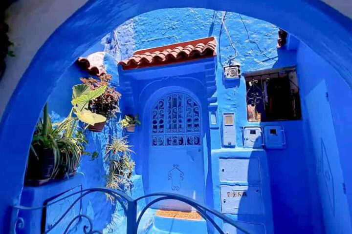 Blaue Gasse in Chefchaouen mit traditioneller Tür und Pflanzen – ikonisches Fotomotiv auf einer Marokko Rundreise