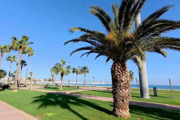 Palmengesäumte Promenade an der Corniche von Tanger mit Blick auf das Meer
